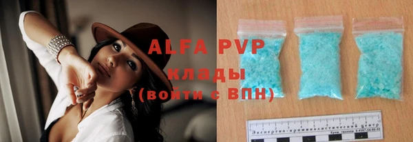 винт Новозыбков