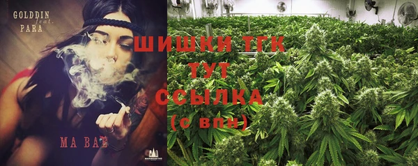 винт Новозыбков