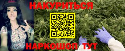 стафф Камышлов
