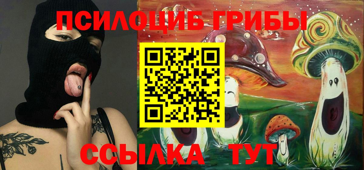 хочу наркоту  Минусинск  Псилоцибиновые грибы мицелий 