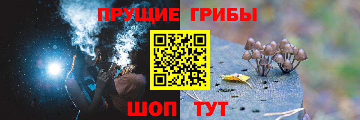 Псилоцибиновые грибы MAGIC MUSHROOMS  Вход с VPN  Минусинск  Галлюциногенные грибы прущие грибы 