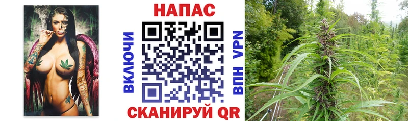 omg маркетплейс  Минусинск  Канабис конопля 